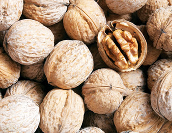 Vitamin E dành cho nam giới