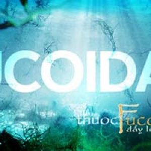 Fucoidan thuốc trị ung thư