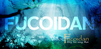 Fucoidan thuốc trị ung thư