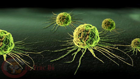 Thuốc điều trị bệnh ung thư