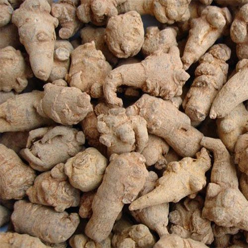 tam-that-bac-1 tam-that-bac-1