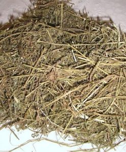 Diệp Hạ Châu (Khô)