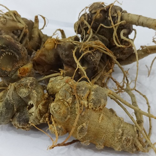 tam-that-bac-tuoi tam-that-bac-tuoi