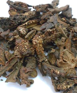 Nấm Ngọc Cẩu (Khô)