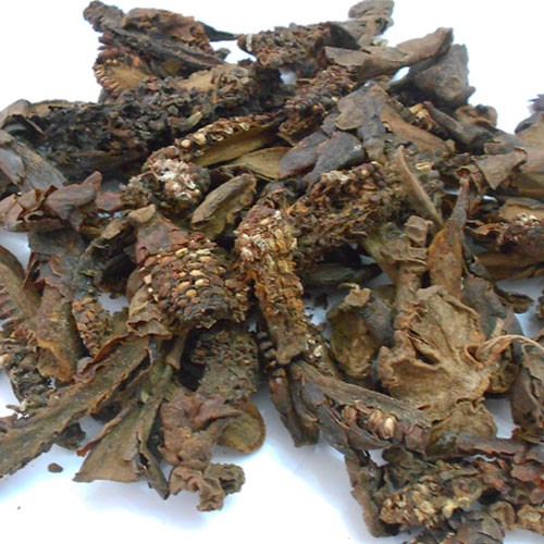 nam-ngoc-cau-kho nam-ngoc-cau-kho