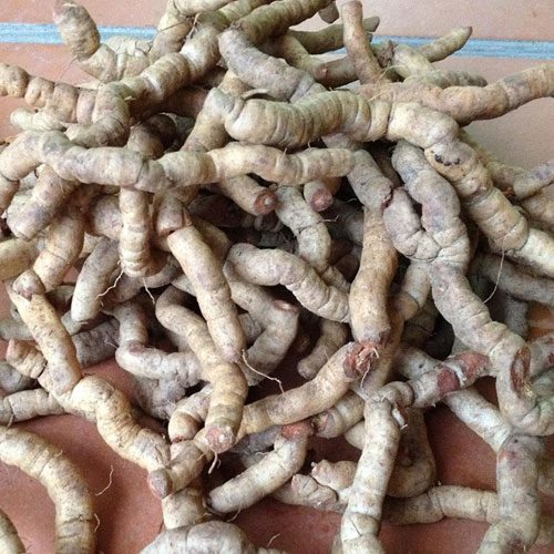 ba-kich-tuoi ba-kich-tuoi