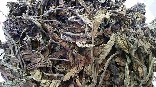 bo-cong-anh-kho-b1011 bo-cong-anh-kho-b1011