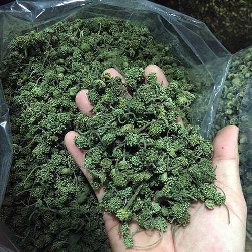 nu-tam-that4 nu-tam-that4