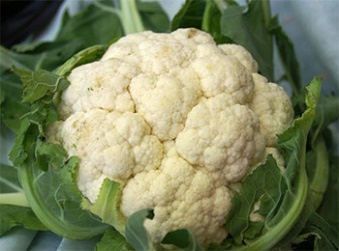 Làm thế nào để ngăn ngừa ung thư tái phát?