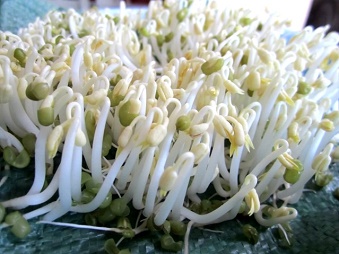 an gia do cai thien tinh trang yeu sinh ly