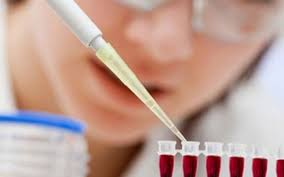 can luu y dieu gi sau khi ghep te bao goc