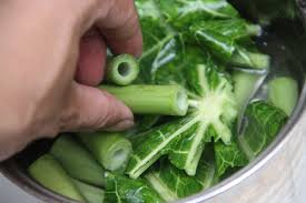 su that ve cong dung chua ung thu cua la du du