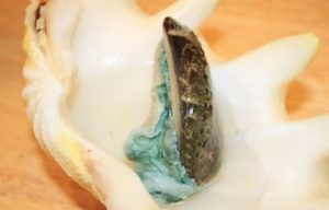 nhung mon an giup nam gioi luon sung man