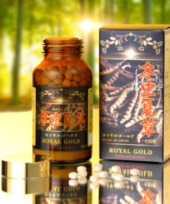 dong-trung-ha-thao-2-768x519