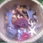 minh mang thang thanh phan 1 minh mang thang thanh phan 1