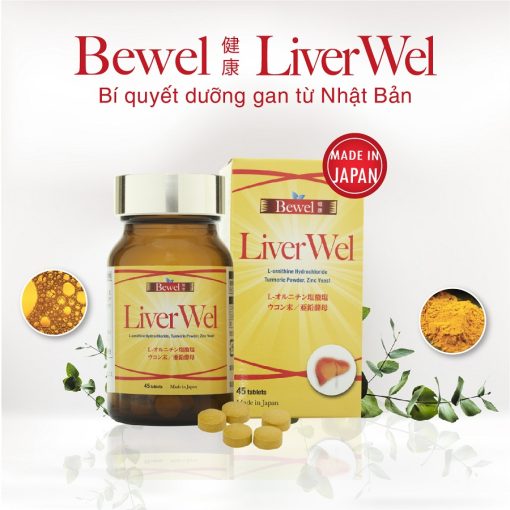 Liverwel 6 Liverwel 6