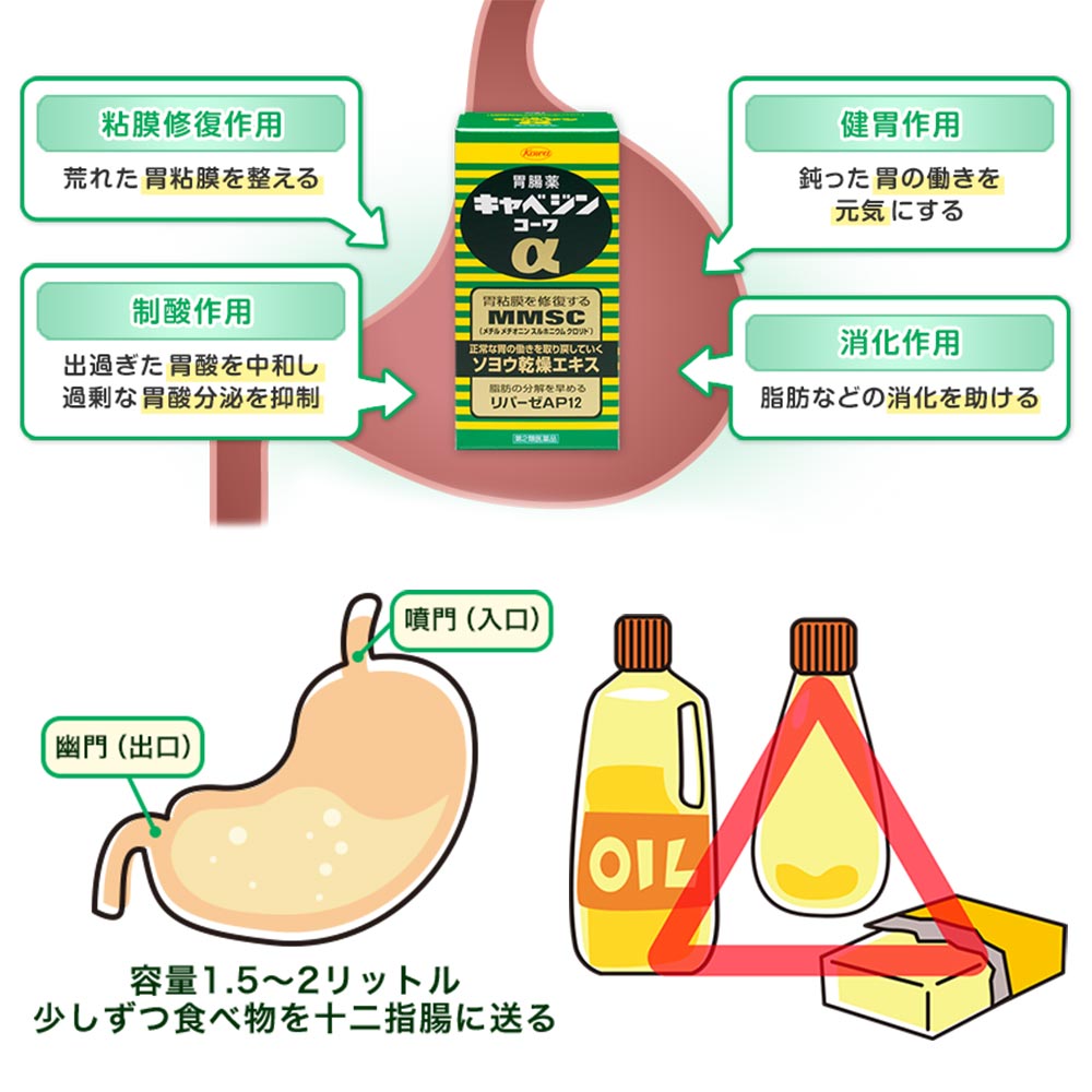 ho-dieu-tri-da-day-kowa-alpha-mmsc-300-vien-(2) ho-dieu-tri-da-day-kowa-alpha-mmsc-300-vien-(2)