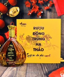 Hộp Quà Rượu Đông Trùng Hạ Thảo Venus 500ml