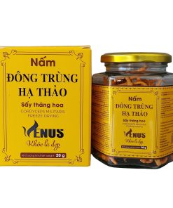 Nấm Đông Trùng Hạ Thảo Sấy Thăng Hoa 20gr (sấy khô)