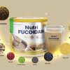 thành-phần-nutri-web thành-phần-nutri-web